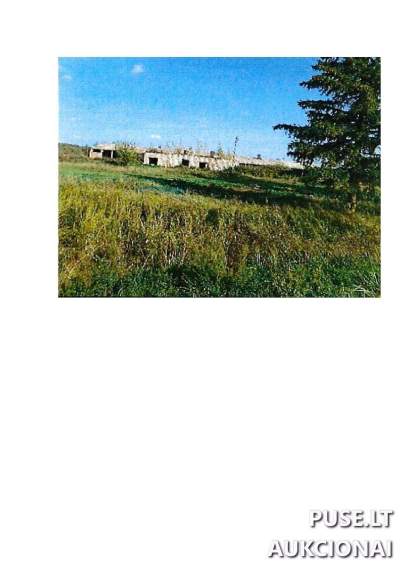 Parduodamas 1 ha žemės ūkio sklypas Prienų rajone, Intupionių kaime, pradinė kaina 2400 EUR