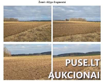 Žemės ūkio paskirties sklypas Anykščių rajone, Kunigiškių I kaime, pradinė kaina 720 EUR