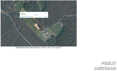 Žemės ūkio paskirties sklypas Ignalinos r. sav., Palūšės k., pradinė kaina 4000 EUR