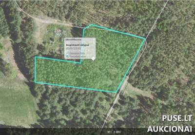 Žemės sklypo dalies aukcionas Šalčininkų r. sav., Žagarinės k., 0.2933 ha, Miškų ūkio paskirties, pradinė kaina 1152 EUR | Antstolių varžytynės