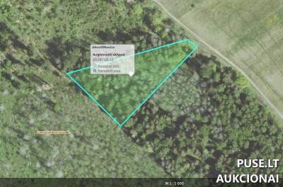 1/3 dalis miško ūkio paskirties žemės sklypo Šalčininkų r. sav. 640 EUR pradinė kaina