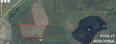 Žemės sklypas Utenos rajone, prie Gėlainio ežero, 3200 EUR - Antstolių varžytynės