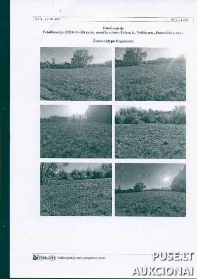 Žemės ūkio paskirties sklypas Panevėžio rajone, Uoksų kaime, pradinė kaina 5600 EUR