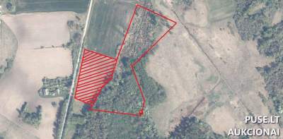 Žemės sklypo dalis Ukmergės rajone, Padvarių kaime, 4000 EUR, miškas ir krūmai