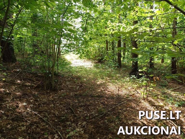 Lauko tualetas Kiti statiniai Kirneilė, Luokesos sen., Molėtų r. sav. 4