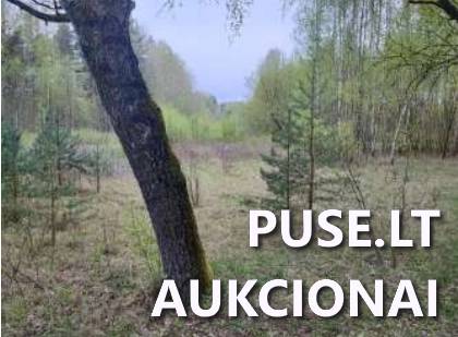 Žemės sklypas Sklypai Bagotoji, Kazlų Rūdos sen., Kazlų Rūdos sav. 3