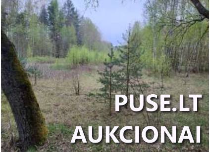 Žemės sklypas Sklypai Bagotoji, Kazlų Rūdos sen., Kazlų Rūdos sav. 4