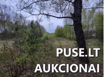 Žemės sklypas Sklypai Bagotoji, Kazlų Rūdos sen., Kazlų Rūdos sav. 5