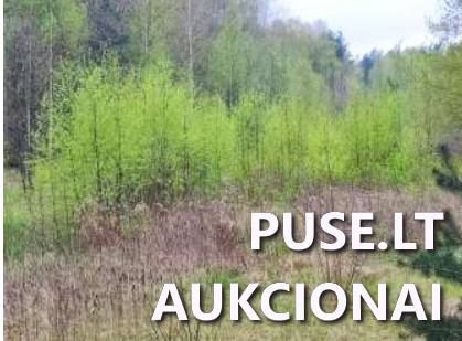 Žemės sklypas Sklypai Bagotoji, Kazlų Rūdos sen., Kazlų Rūdos sav. 6