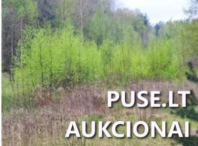 Žemės ūkio paskirties sklypo dalis (1/3) Kazlų Rūdos sav. Bagotosios k. pradinė kaina 100 EUR - Antstolių varžytynės