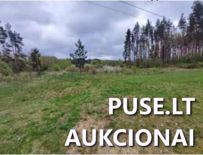 Žemės sklypas Sklypai Bagotoji, Kazlų Rūdos sen., Kazlų Rūdos sav. 2