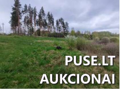 Žemės sklypas Sklypai Bagotoji, Kazlų Rūdos sen., Kazlų Rūdos sav. 3