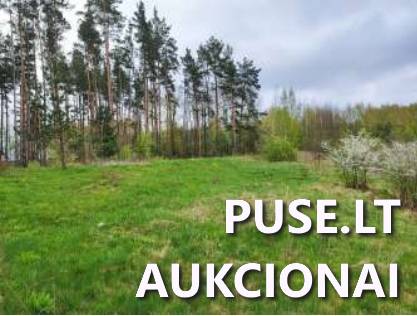 Žemės sklypas Sklypai Bagotoji, Kazlų Rūdos sen., Kazlų Rūdos sav. 5