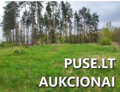 1/3 žemės ūkio paskirties sklypo dalis Kazlų Rūdos sav. Bagotosios k. pardavimas už 320 EUR aukcione