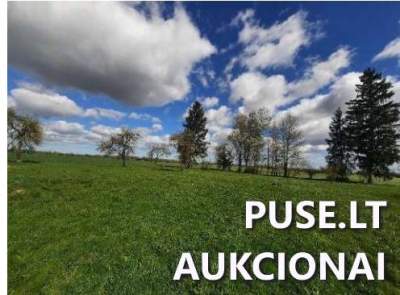 Žemės sklypas Šakių rajone, Kreivių kaime, 1/3 dalis, pradinė kaina 3200 EUR