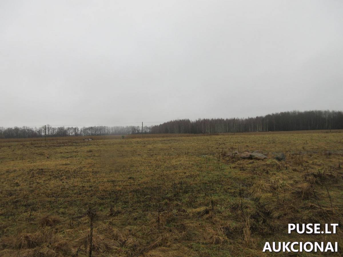 Žemės sklypas Sklypai Jucaičių g., Jucaičiai, Veiviržėnų sen., Klaipėdos r. sav. 4