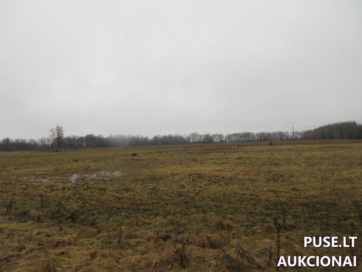 Žemės sklypas Sklypai Jucaičių g., Jucaičiai, Veiviržėnų sen., Klaipėdos r. sav. 5