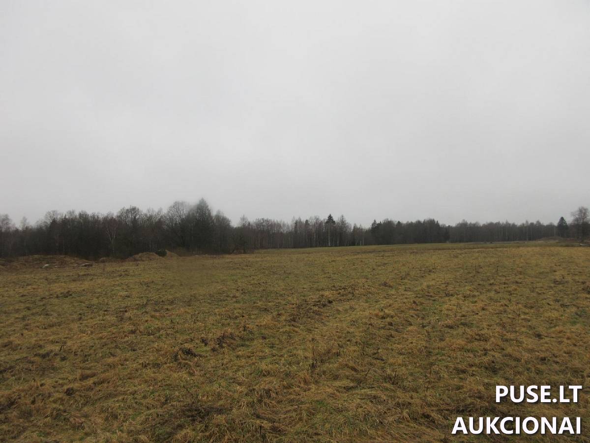 Žemės sklypas Sklypai Jucaičių g., Jucaičiai, Veiviržėnų sen., Klaipėdos r. sav. 7