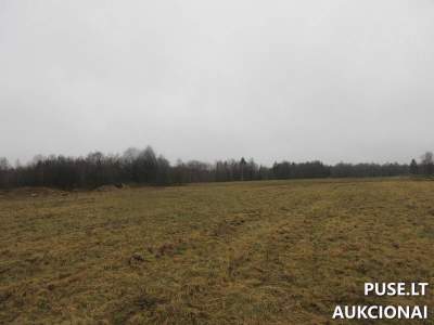 Žemės ūkio žemės sklypas Klaipėdos rajone, Jucaičių kaime, 2.20 ha, pradinė kaina 7920 EUR