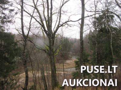 Žemės ūkio paskirties sklypas Klaipėdos rajone (Jucaičių k.) 3.62 ha, pradinė kaina 13120 EUR