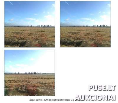 Žemės ūkio sklypas Klaipėdos rajone, Stragnų II kaime, 7.52 ha, pradinė kaina 16240 EUR