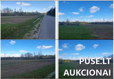 2.44 ha žemės ūkio paskirties sklypas Šilalės r. sav., Didkiemyje, pradinė kaina 9360 EUR