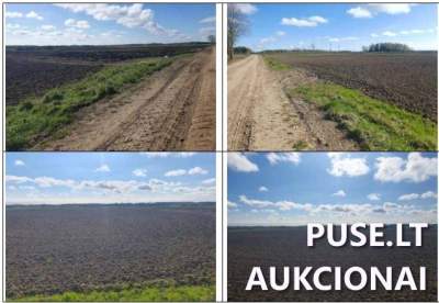Žemės ūkio paskirties sklypas Šilalės r. sav., Didkiemyje, 6,7307 ha, pradinė kaina 28560 EUR