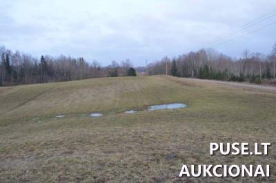 16.5 ha žemės ūkio paskirties sklypas Plungės r., Vilkaičių k. su miškais, pradinė kaina 14400 EUR