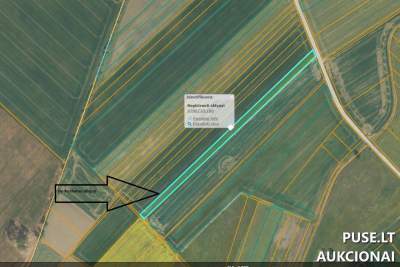 Žemės ūkio sklypas Joniškio rajone, Budraičių kaime, 0.51 ha, pradinė kaina 3672 EUR
