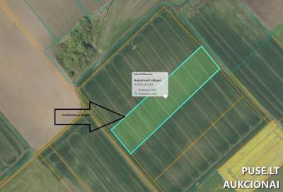 Parduodamas 0.56 ha žemės ūkio sklypas Joniškio rajone (Kemsių k.) pradinė kaina 4032 EUR
