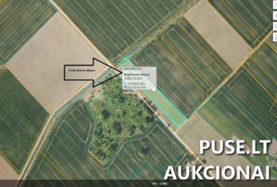 Žemės ūkio paskirties sklypas Joniškio rajone, Reibinių kaime, 0.66 ha, pradinė kaina 4896 EUR