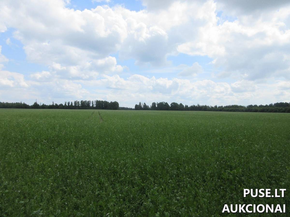 Žemės sklypas Sklypai Tūbausiai, Kretingos sen., Kretingos r. sav. 6