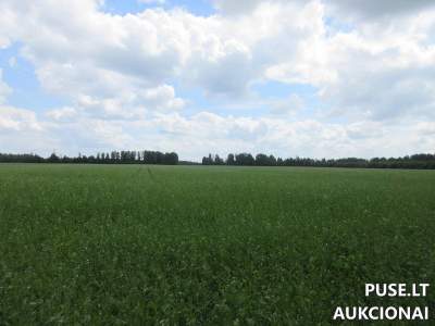 2.57 ha žemės ūkio paskirties sklypas Kretingos rajone, Tūbausių kaime, pradinė kaina 13920 EUR