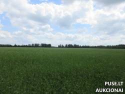 Sklypai - Žemės sklypas