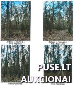 Sklypai - Žemės sklypas