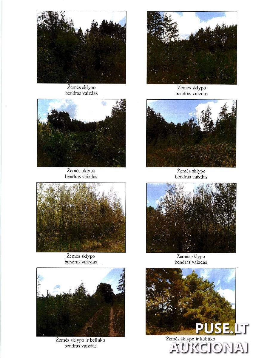 Žemės sklypas Sklypai Šadžiūnai, Lazdijų sen., Lazdijų r. sav. 3