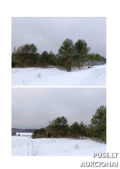 1.95 ha žemės ūkio paskirties sklypas Švenčionių rajone, Dotenėnų kaime, pradinė kaina 3060 EUR