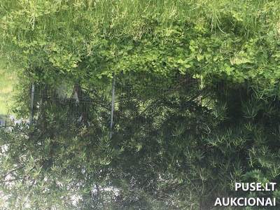 Tvora (Kiti statiniai) Šiaulių r. sav., Kairių mstl., Pramonės g. 1, pradinė kaina 5000 EUR