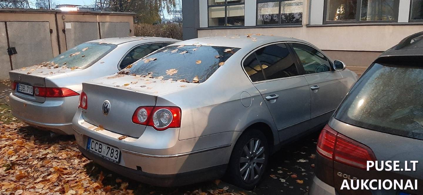 Volkswagen Passat Lengvasis automobilis 3