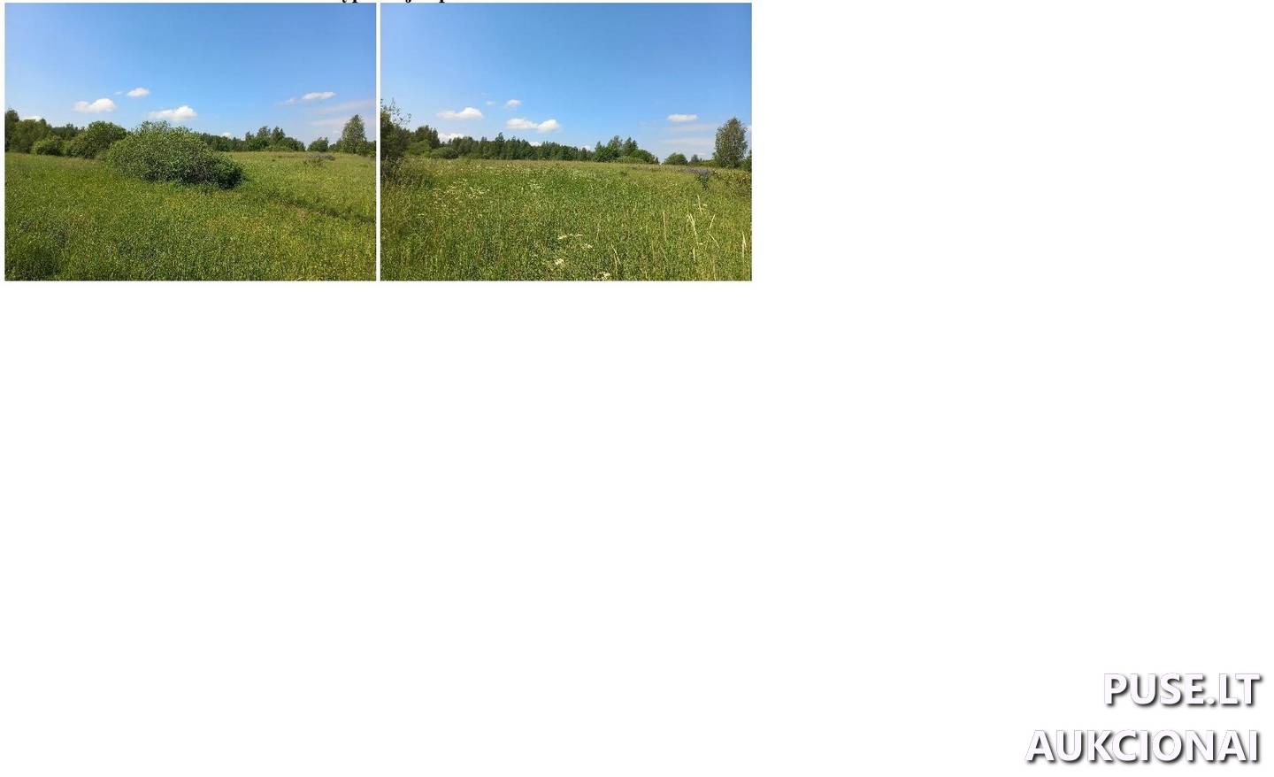 Žemės sklypas Sklypai Spiegliai, Paberžės sen., Vilniaus r. sav. 2