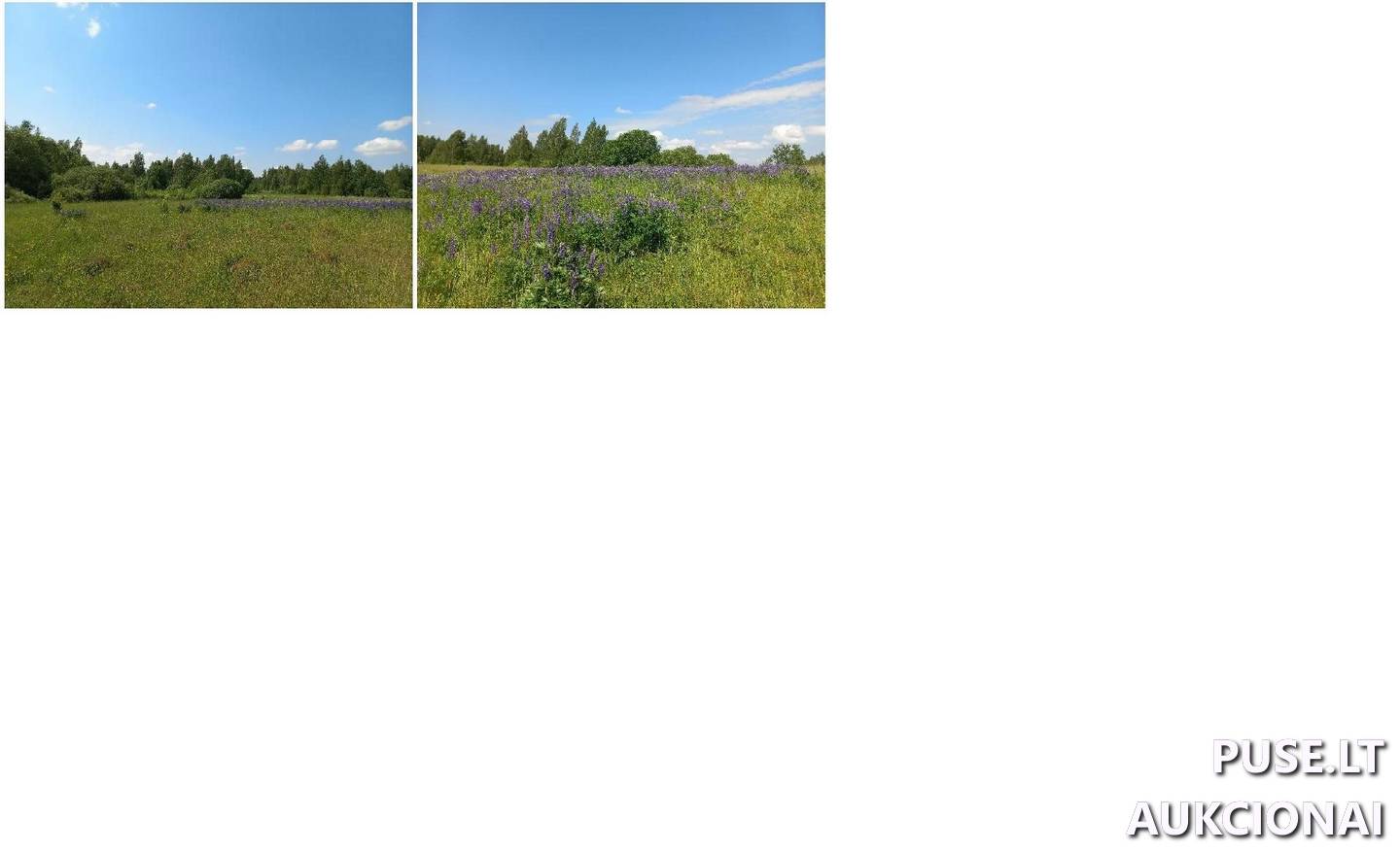 Žemės sklypas Sklypai Spiegliai, Paberžės sen., Vilniaus r. sav. 4