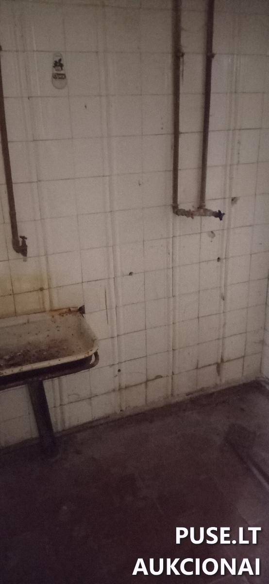 Nuomojamas turtas: Skalbykla Pastatai Vilniaus g. 54A, 65338 Merkinė, Merkinės sen., Varėnos r. sav. 6