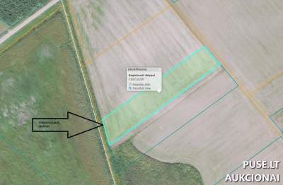 Parduodamas 0.50 ha žemės ūkio paskirties sklypas Radviliškio rajone, Kunigiškių kaime, pradinė kaina 1720 EUR