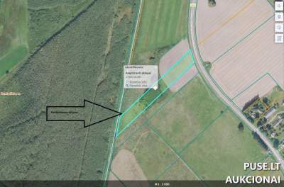 Parduodamas 0.8218 ha žemės ūkio paskirties sklypas Radviliškio r. sav. Kunigiškių k. 2720 EUR