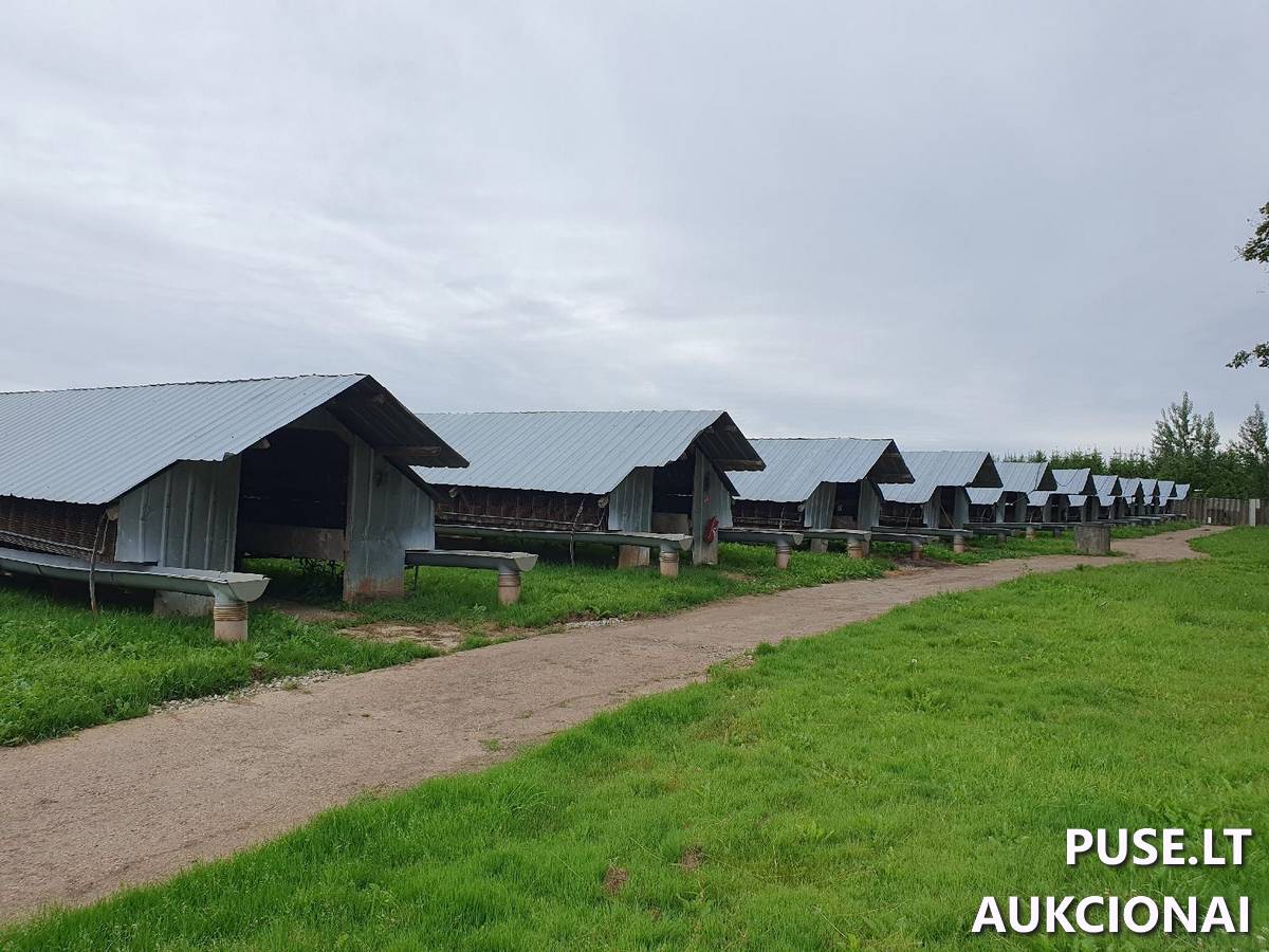 Gamybos cechas Pastatai Pamiškės g. 4, 97343 Kalniškiai, Kartenos sen., Kretingos r. sav. 3