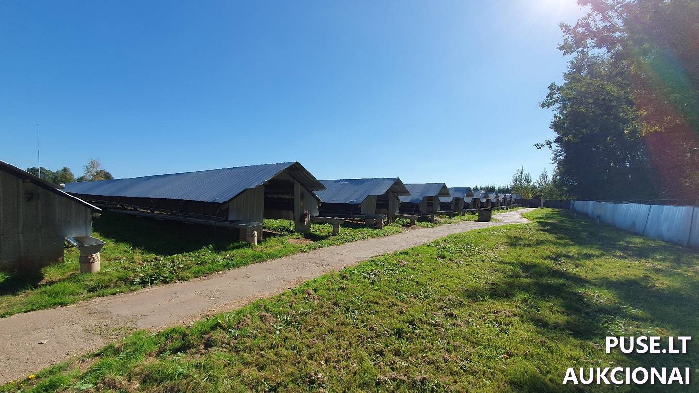 Gamybos cechas Pastatai Pamiškės g. 4, 97343 Kalniškiai, Kartenos sen., Kretingos r. sav. 4