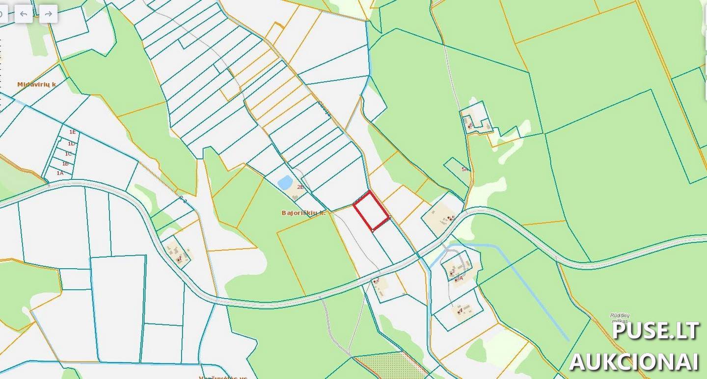 Žemės sklypas Sklypai Bajoriškės, Rūdiškių sen., Trakų r. sav. 4