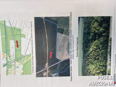 Parduodamas 1.68 ha žemės sklypas Pakruojo rajone, Kuosiškių kaime, pradinė kaina 8000 EUR