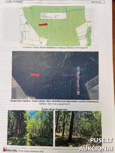Parduodama 1/2 dalis 5.5000 ha miško ūkio paskirties žemės sklypo Jurbarko r. Palabaukščiuose, pradinė kaina 21200 EUR