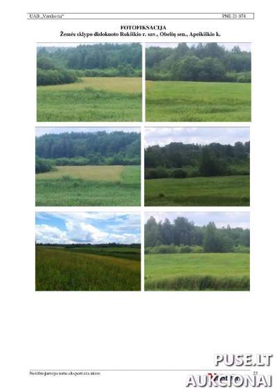 Žemės sklypo dalis Rokiškio r. Apeikiškio kaime, 41300 kv.m, startinė 4960 EUR kaina